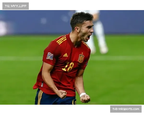 里尔体育总监丰塞卡接受专访，谈夏窗引援策略